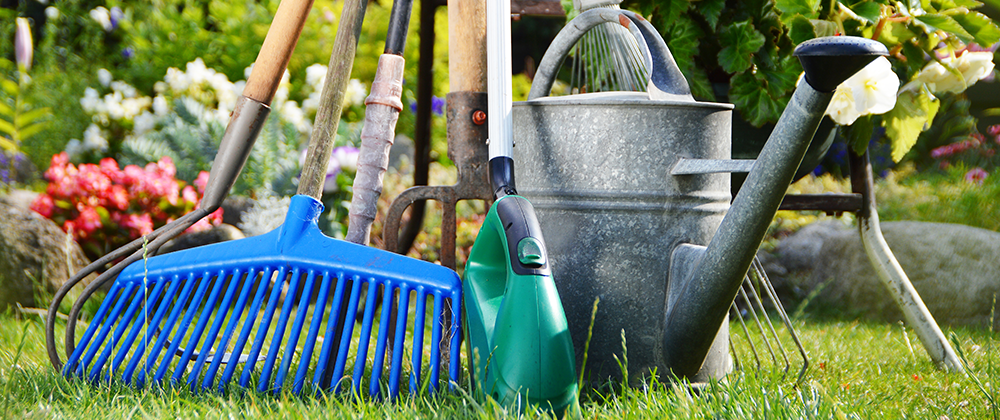 Neat And Tidy – Keeping Your Garden In Top Shape | MessHall
