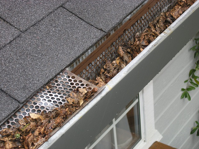How Gutter Companies Take Care of Your Needs